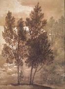 Claude Lorrain, Trees (mk17)
